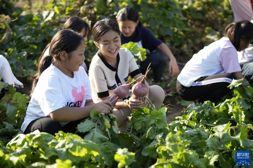 2019白菜彩金优惠网站